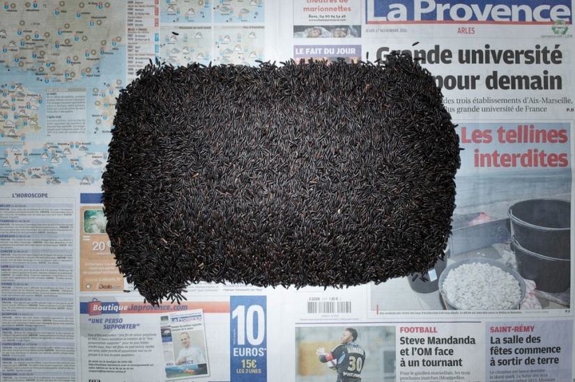 Riqueza mínima de personas en diferentes países