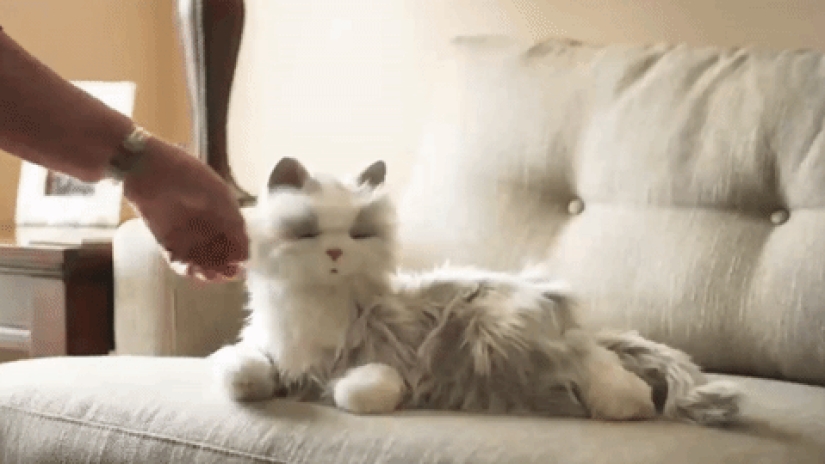 Robocot: the perfect pet that doesn't need to be fed Robocot: the perfect pet that doesn't need to be fed