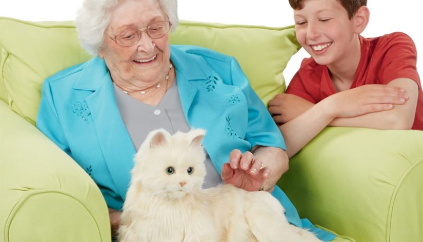 Robocot: the perfect pet that doesn't need to be fed Robocot: the perfect pet that doesn't need to be fed