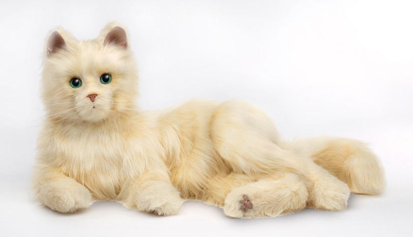 Robocot: the perfect pet that doesn't need to be fed Robocot: the perfect pet that doesn't need to be fed