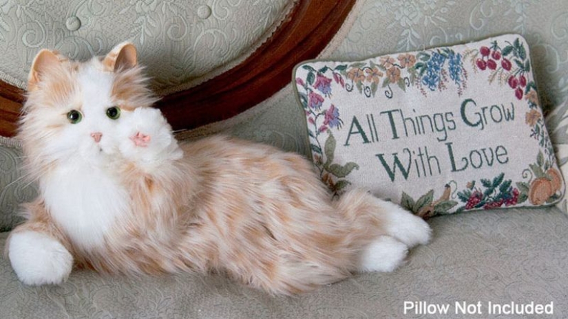 Robocot: the perfect pet that doesn't need to be fed Robocot: the perfect pet that doesn't need to be fed