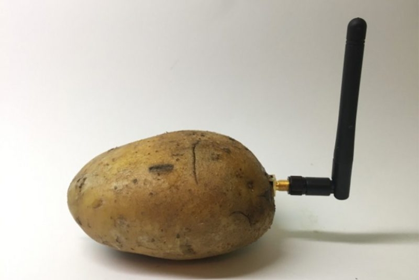 Robot de alimentación de papel higiénico, Icartoshka y otros logros de la tecnología CES 2020 Robot de alimentación de papel higiénico, Icartoshka y otros logros de la tecnología CES 2020