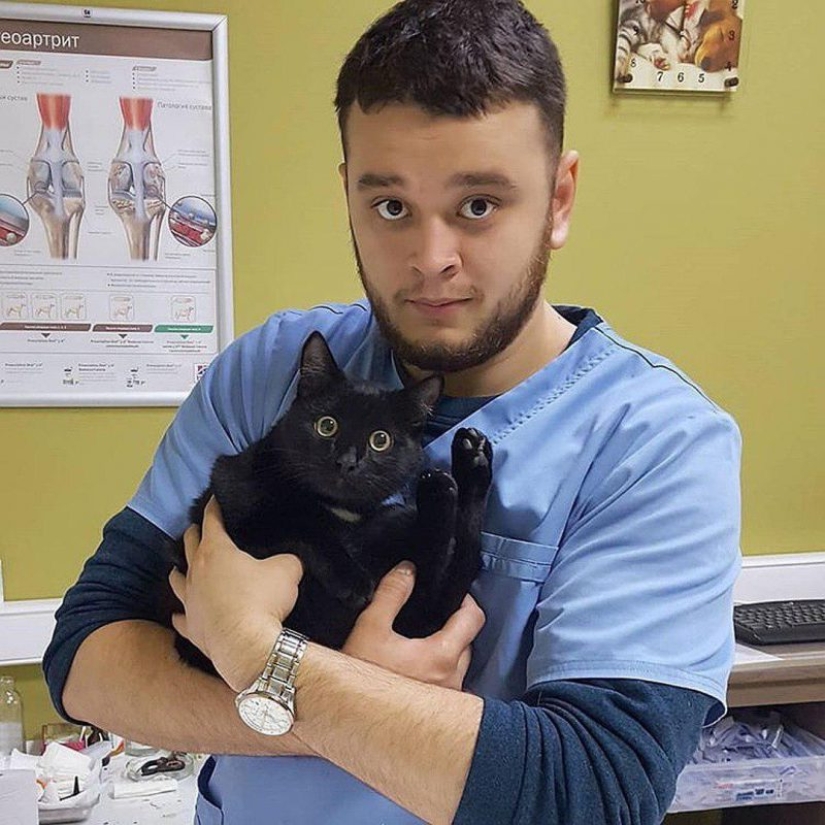 Russian Veterinarian Faces Jail for Saving Animals from Death