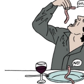 "Russians don't eat lunch — they kill worms": 10 sayings through the eyes of foreigners
