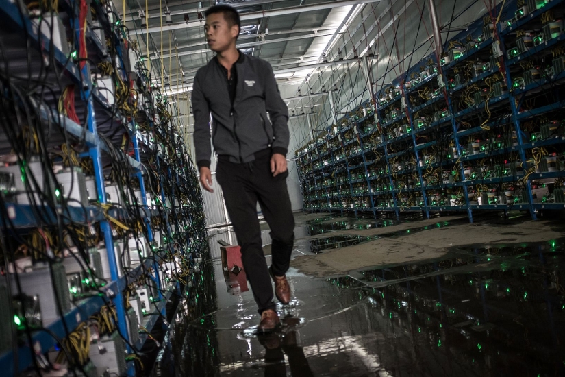 Sad Farm: Bitcoin mining on a Chinese scale