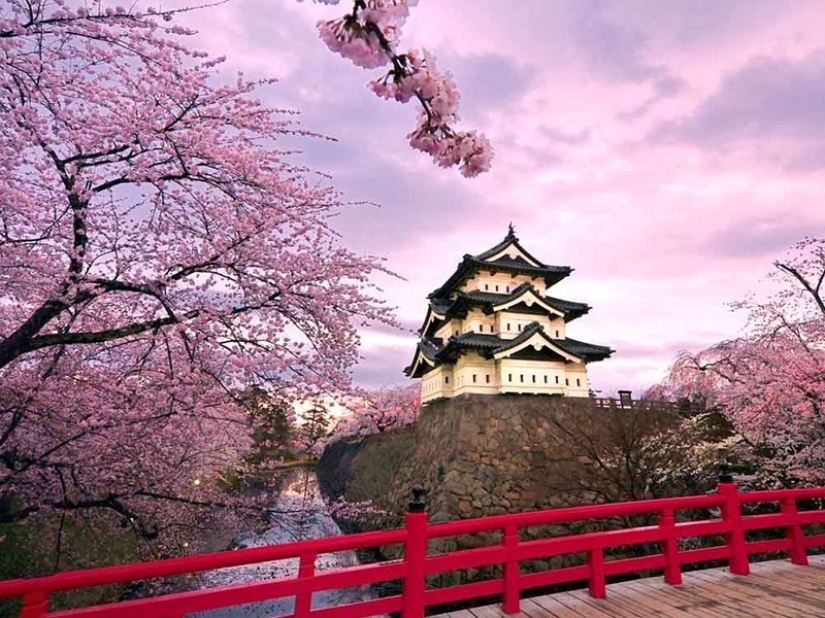 Safe harbor: TOP of the safest countries in the world