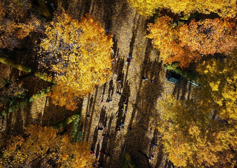 San Petersburgo-vista superior San Petersburgo-vista superior