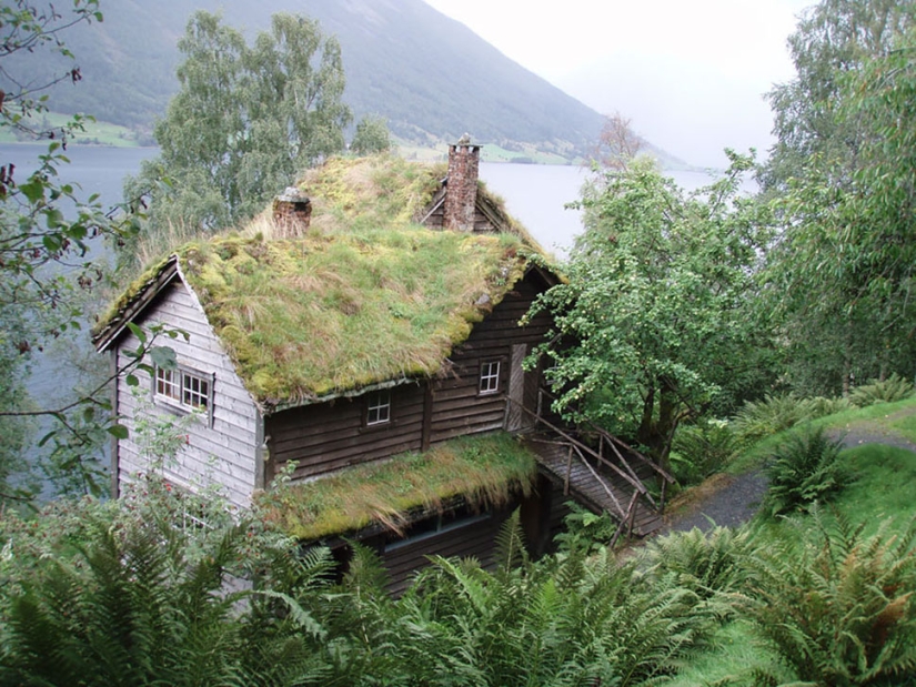 Scandinavian houses with green roofs that look like from a fairy tale