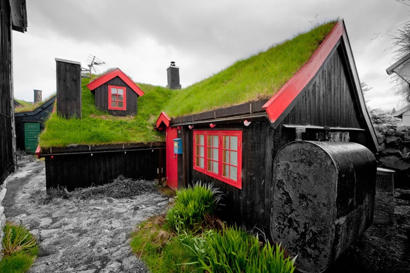 Scandinavian houses with green roofs that look like from a fairy tale