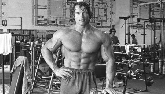 Schwarzenegger's son showed his biceps and reminded his father in his youth Schwarzenegger's son showed his biceps and reminded his father in his youth