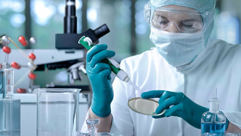 Scientists have created artificial reproductive organs and they cope with their functions Scientists have created artificial reproductive organs and they cope with their functions