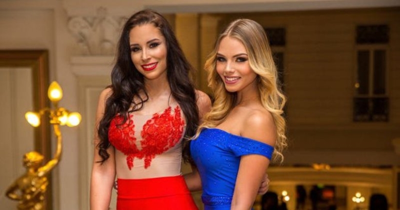 Scientists have figured out who is smarter — blondes or brunettes Scientists have figured out who is smarter — blondes or brunettes