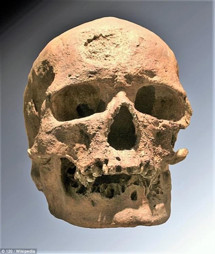 Scientists have recreated the face of a young Greek woman who lived 9 thousand years ago Scientists have recreated the face of a young Greek woman who lived 9 thousand years ago