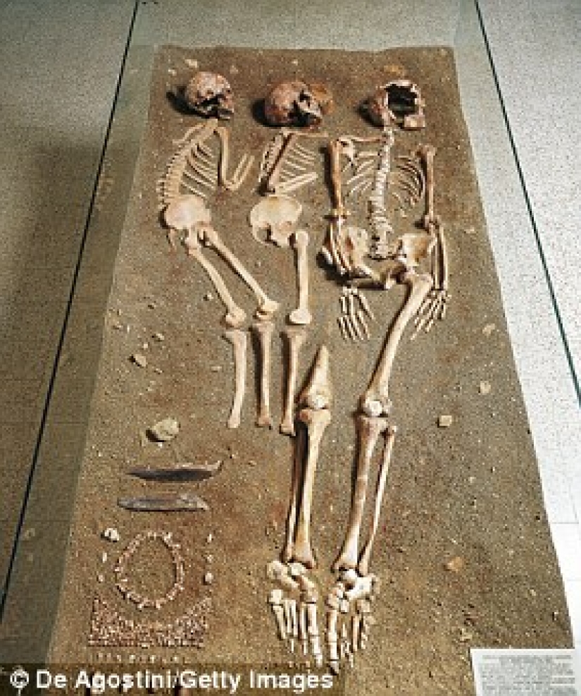 Scientists have recreated the face of a young Greek woman who lived 9 thousand years ago Scientists have recreated the face of a young Greek woman who lived 9 thousand years ago