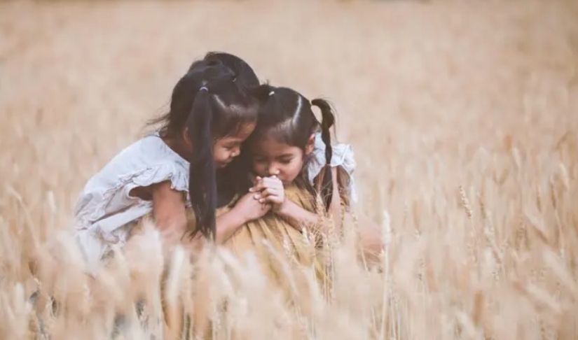 Scientists have studied twins and found out that the place of residence affects intelligence