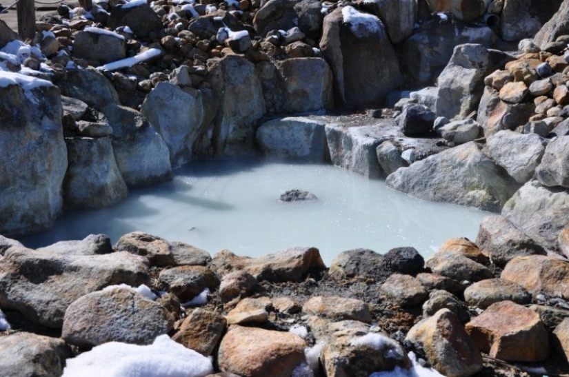 Scrambled eggs for a dollar or elite eggs for 89 dollars: what to choose for breakfast in Tokyo?