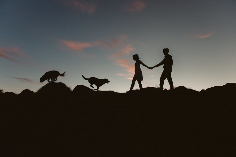 Se han anunciado las 50 mejores fotos de boda de 2018