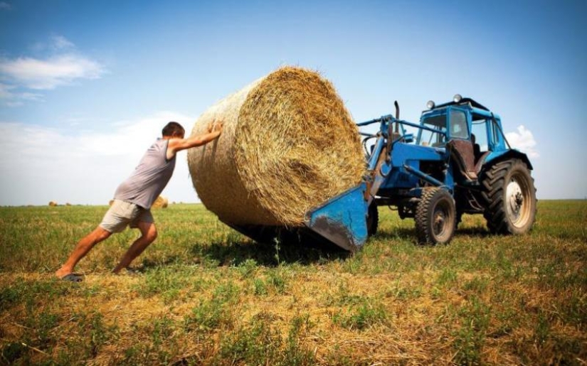 Se nombran las 10 profesiones más peligrosas de Rusia Se nombran las 10 profesiones más peligrosas de Rusia