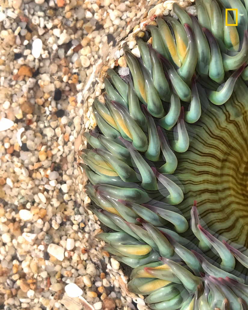 Se publican los primeros trabajos del concurso fotográfico Fotógrafo de Naturaleza del Año de National Geographic Se publican los primeros trabajos del concurso fotográfico Fotógrafo de Naturaleza del Año de National Geographic