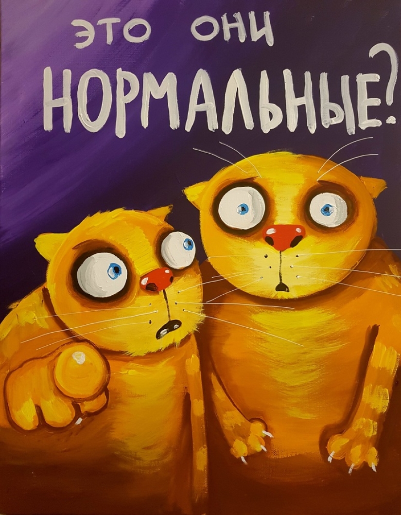 Seals above all: a Russian woman was imprisoned for 9 years for the murder of a friend who refused to feed a kitten Seals above all: a Russian woman was imprisoned for 9 years for the murder of a friend who refused to feed a kitten