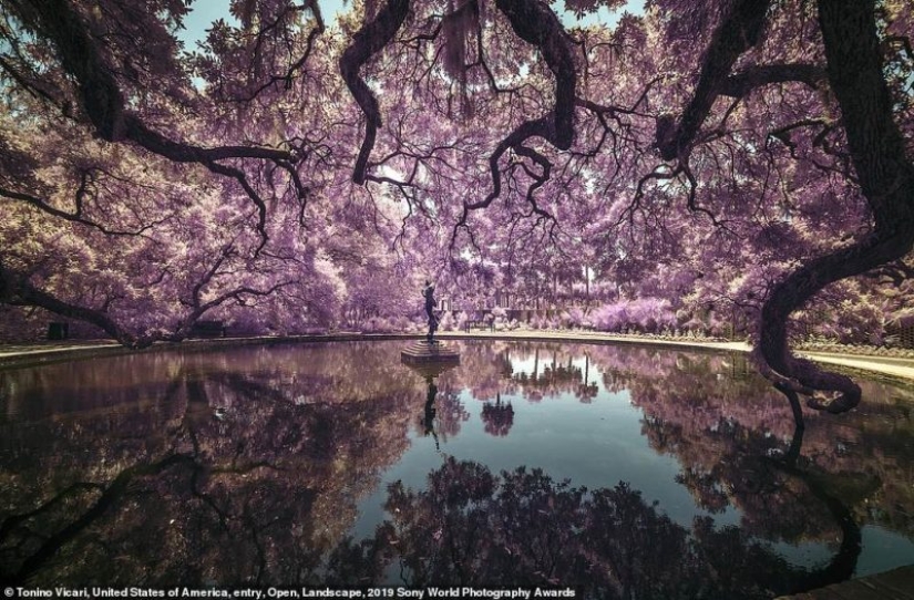 Selfies de monjas, fascinante iceberg y libertinaje en Jerusalén: quién será el ganador de los Sony World Photography Awards 2019 Selfies de monjas, fascinante iceberg y libertinaje en Jerusalén: quién será el ganador de los Sony World Photography Awards 2019