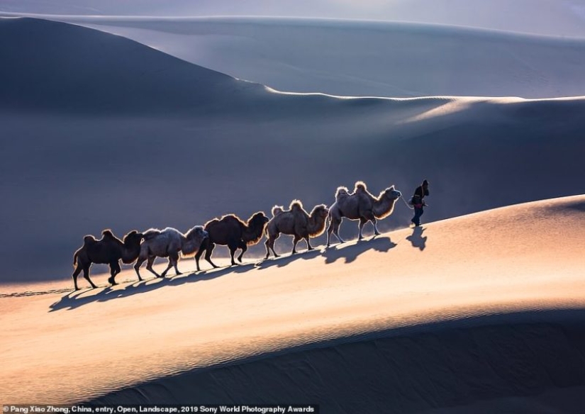 Selfies of nuns, fascinating iceberg and debauchery in Jerusalem: who will be the winner of the Sony World Photography Awards 2019 Selfies of nuns, fascinating iceberg and debauchery in Jerusalem: who will be the winner of the Sony World Photography Awards 2019
