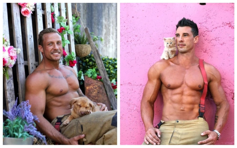 Sesión de fotos incendiaria: bomberos australianos calientes filmados con animales lindos para el calendario