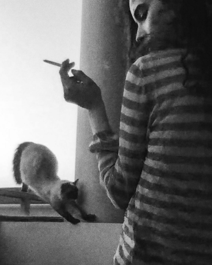 Sesión de fotos remota de Alessio Albi en la cámara web durante la cuarentena