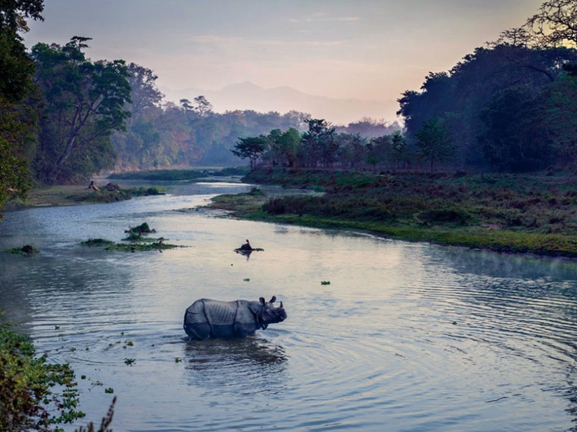 Seven Star Safari Experience Seven Star Safari Experience