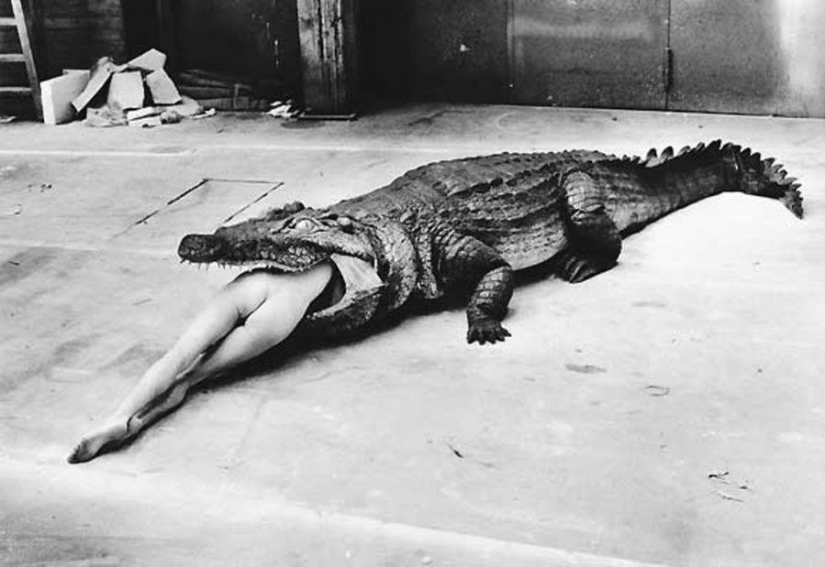 "Sex helps to sell": 20 scandalous works by Helmut Newton
