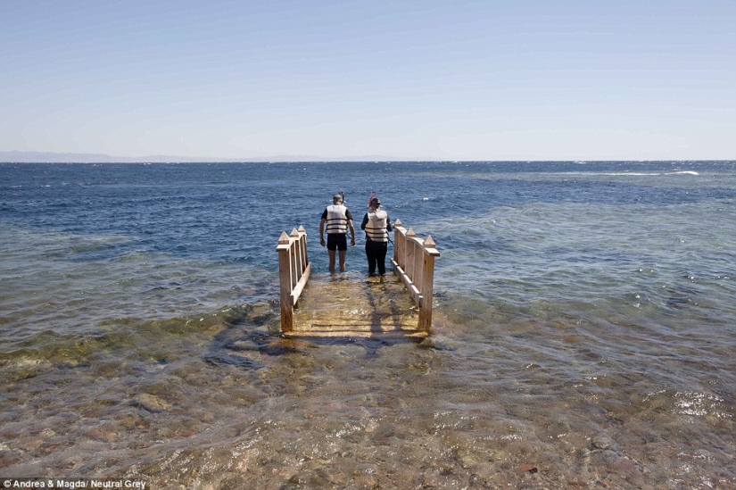 Sharm el-Sheikh: un pueblo fantasma?
