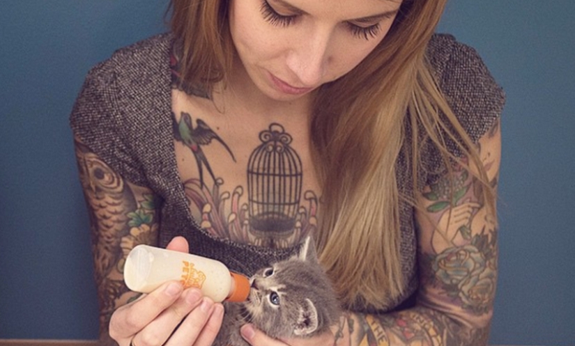 She saves kittens. The cutest job in the world She saves kittens. The cutest job in the world