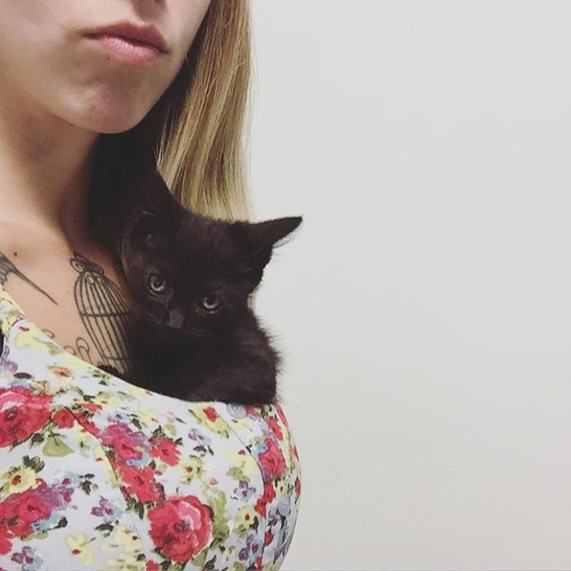 She saves kittens. The cutest job in the world She saves kittens. The cutest job in the world