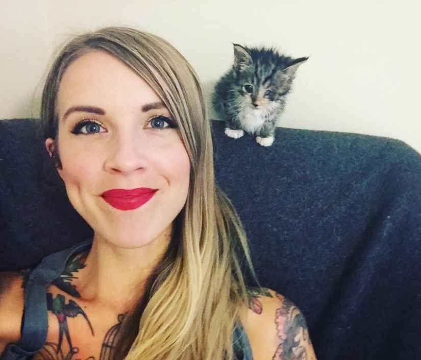 She saves kittens. The cutest job in the world She saves kittens. The cutest job in the world