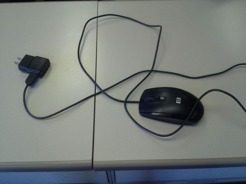 Shots that will make a normal IT specialist shudder with horror