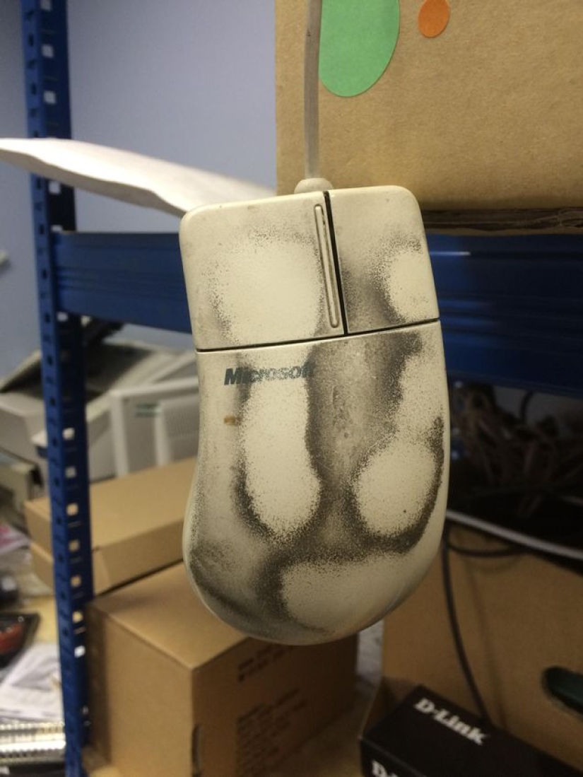 Shots that will make a normal IT specialist shudder with horror