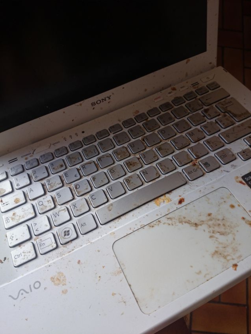 Shots that will make a normal IT specialist shudder with horror