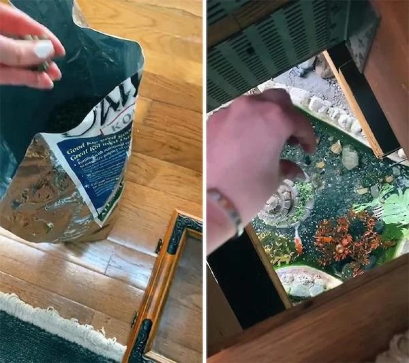 Show me your house! The 20 coolest places in the apartments of Tick-Tok users Show me your house! The 20 coolest places in the apartments of Tick-Tok users