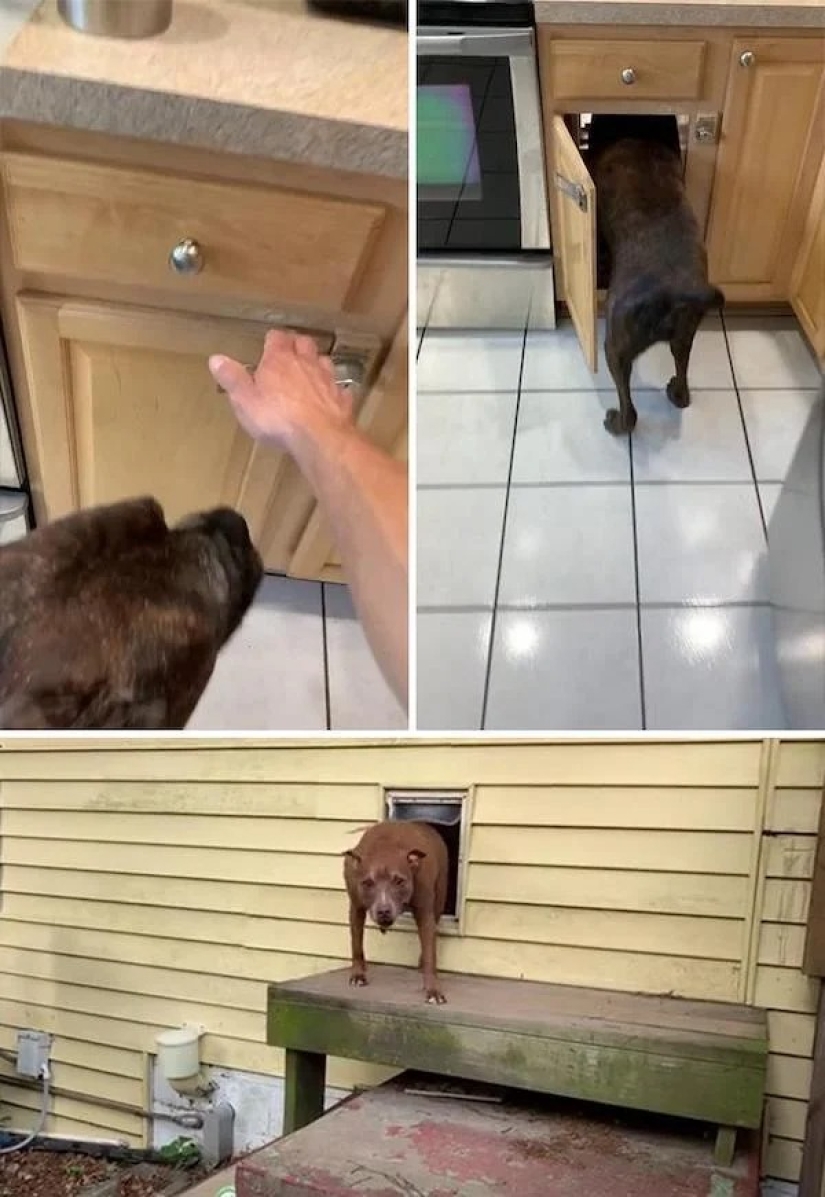 Show me your house! The 20 coolest places in the apartments of Tick-Tok users Show me your house! The 20 coolest places in the apartments of Tick-Tok users