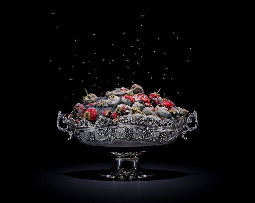 Sickeningly beautiful rotten food Sickeningly beautiful rotten food