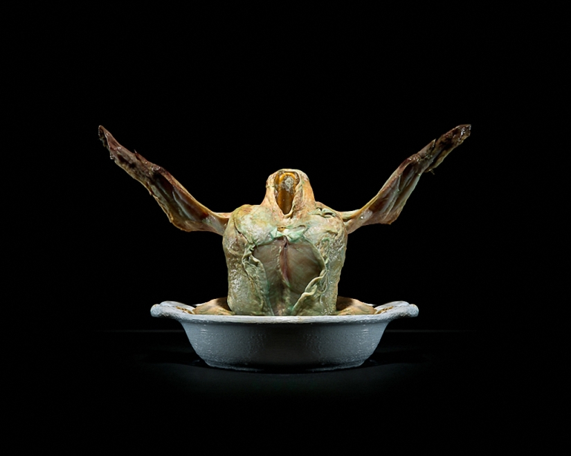 Sickeningly beautiful rotten food Sickeningly beautiful rotten food