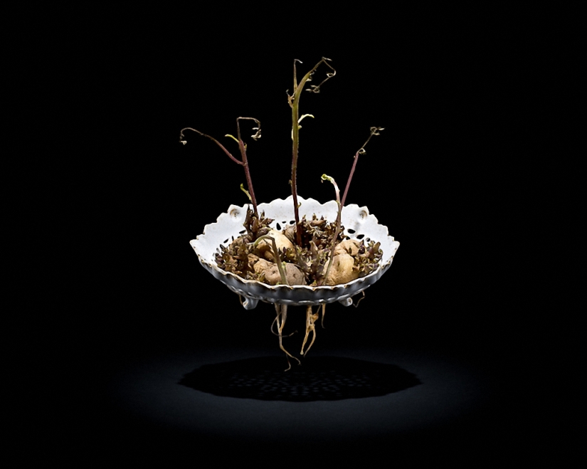 Sickeningly beautiful rotten food Sickeningly beautiful rotten food