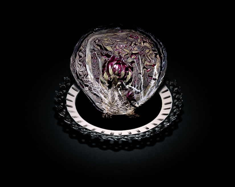 Sickeningly beautiful rotten food Sickeningly beautiful rotten food