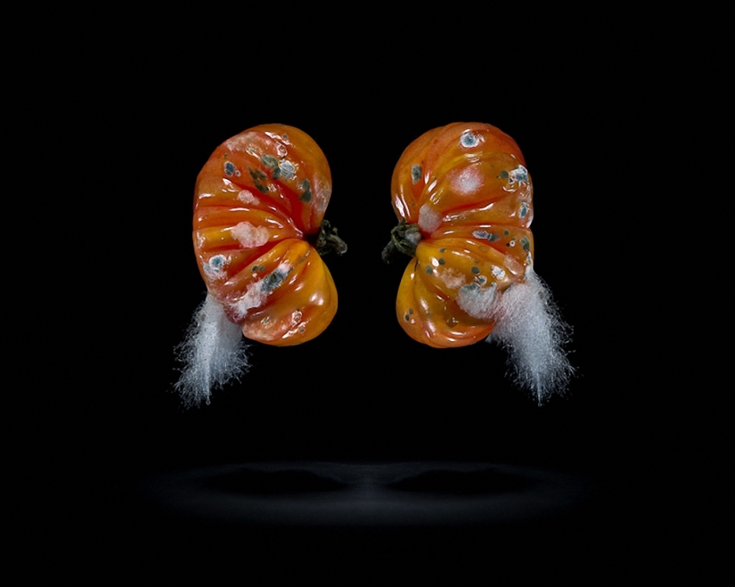 Sickeningly beautiful rotten food Sickeningly beautiful rotten food