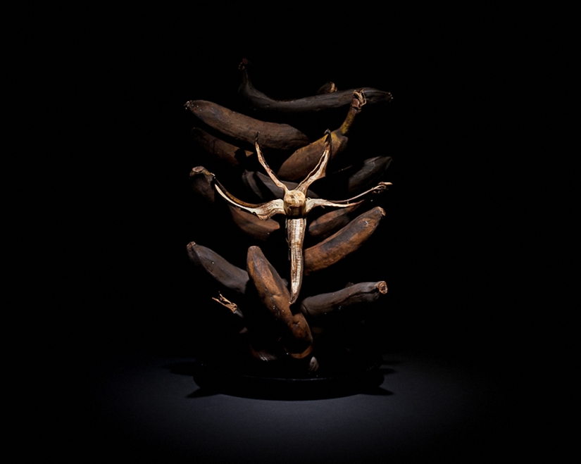 Sickeningly beautiful rotten food Sickeningly beautiful rotten food