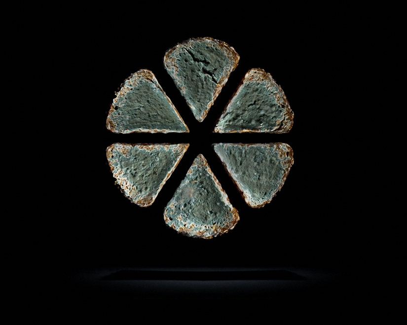 Sickeningly beautiful rotten food Sickeningly beautiful rotten food