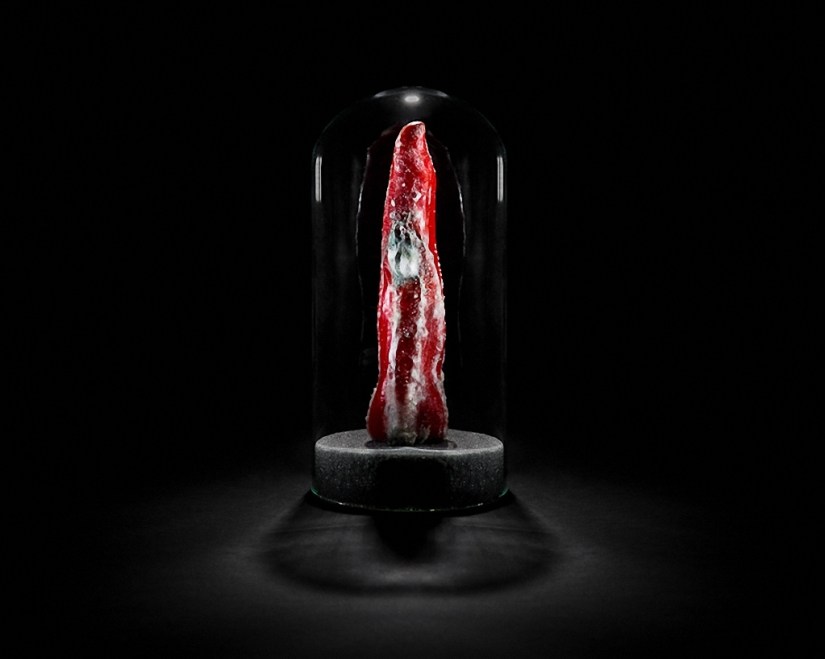 Sickeningly beautiful rotten food Sickeningly beautiful rotten food