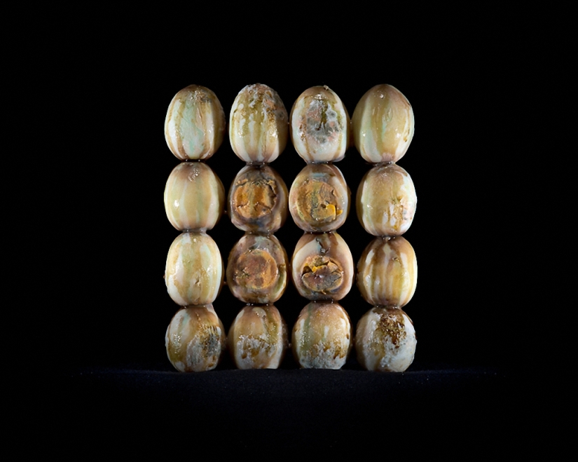 Sickeningly beautiful rotten food Sickeningly beautiful rotten food