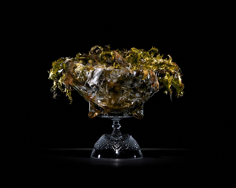 Sickeningly beautiful rotten food Sickeningly beautiful rotten food