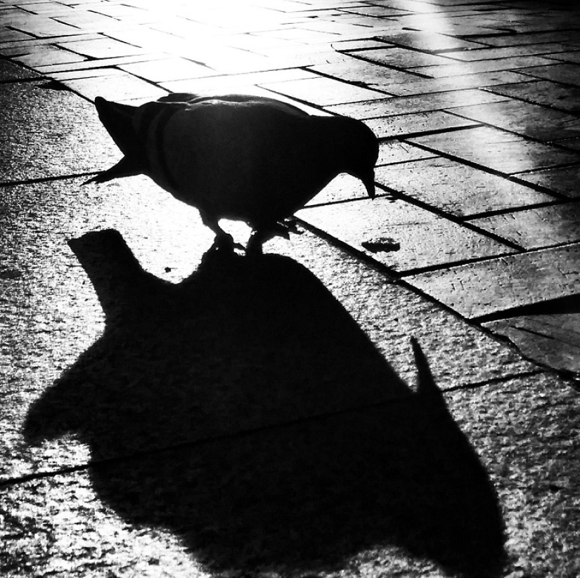 Siéntate en un charco: un mundo de reflejos asombrosos Siéntate en un charco: un mundo de reflejos asombrosos